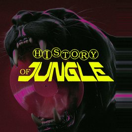 The History of Jungle