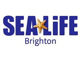 Sea Life Brighton Anytime Entry
