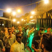 MONDO - Tropical Forest Party MONDO - Tropical Forest Party