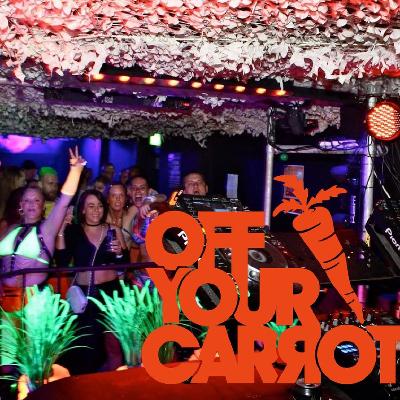 Off Your Carrot New Years Eve