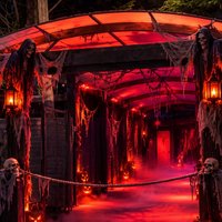 WINKERS HALLOWEEN - Lumos x Evrix
