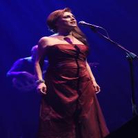 Beyond the Barricade at Cliffs Pavilion