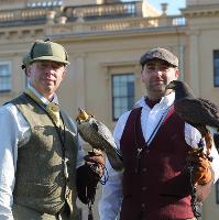 Victorian Falconry