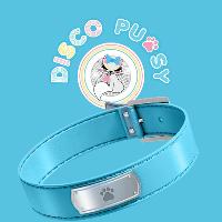 Disco Pussy