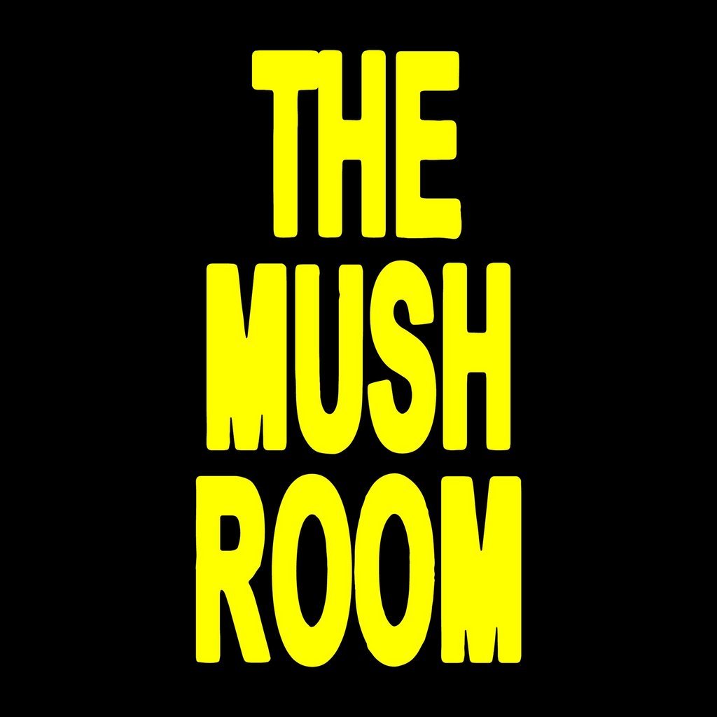 Mystic Arts & Never Never Present The Mush Room