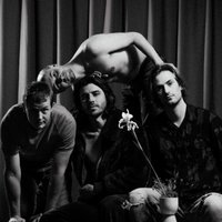 Mildlife at The Zanzibar