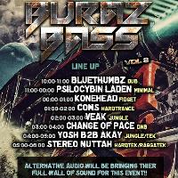 Buraz Bass at Club Palm Beach