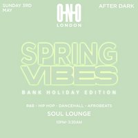 Spring Vibes - Bank Holiday Edition (£1 B4 12am With A Ticket) at Soul Lounge Clapham
