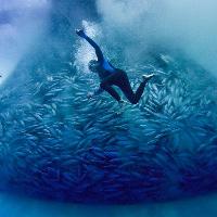Ocean Film Festival World Tour