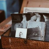 Out of the Box at Wardown Park Museum