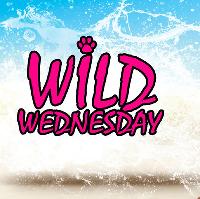 Wild Wednesday