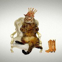 Montsalvatge's Puss in Boots (El Gato con Botas) at Theatr Clwyd