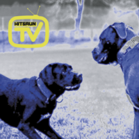 The HIT & RUN TV CLUB: Vol 1 w/ BREAKAGE x FOX & more at Mint Lounge