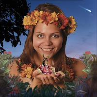 A Midsummer Night