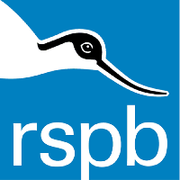 Nightjar walk at RSPB Aylesbeare nature reserve