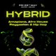 Hybrid: Amapiano, Afro House, Reggaeton & Hip Hop Event Title Pic