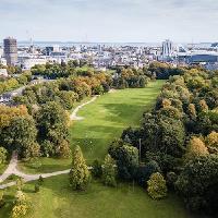 Inside Out Festival 2021 at Bute Park