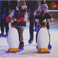 Ice Rink Pre-Booked Tickets at Whirlow Hall Farm
