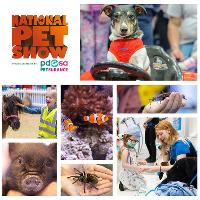 The National Pet Show