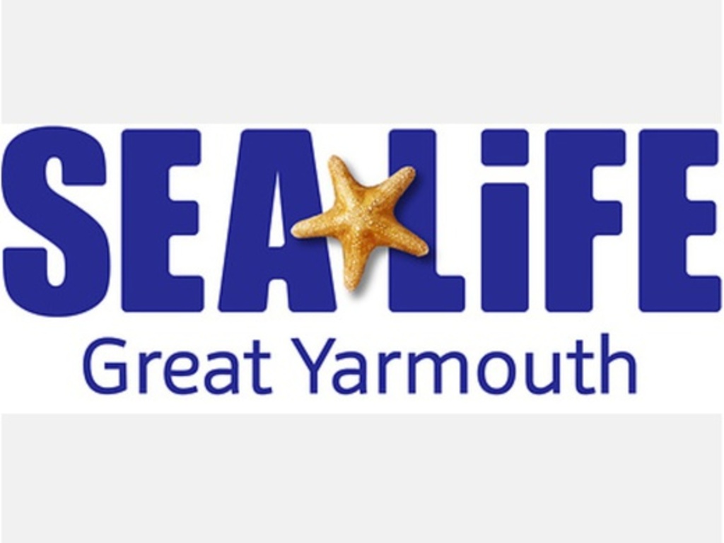 Sea Life Great Yarmouth Standard Entry Marine Parade Great Yarmouth Sun 5th November 2023