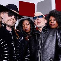 Alabama 3 Acoustic & Unplugged