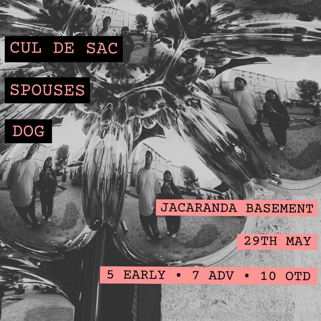 TCD: Cul de Sac, Dog, Spouses
