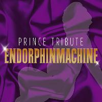 Prince Tribute Endorphinmachine
