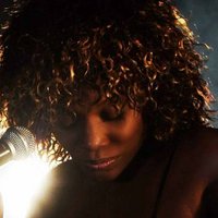 Tina Turner Tribute Night - Aldridge
