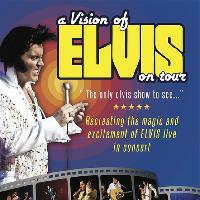 A Vision Of Elvis