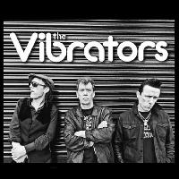 The Vibrators + Steve Hooker Stripped Down Stompin Band The Vibrators + Steve Hooker Stripped Down Stompin Band