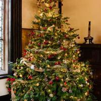 Festive Murder Mystery at Samlesbury Hall