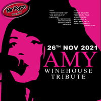 AMY - A Tribute to Amy Winehouse at Hamworthy Labour Club
