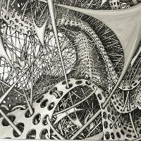 Under the skin: anatomy, art and identity