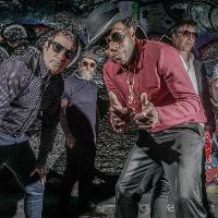 Dub Pistols