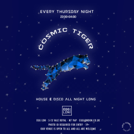 Cosmic Tiger: House, Disco, R&B, Charts All Night Long