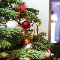 Family Christmas Lunch at Norwich City Football Club Carrow Road Norwich NR1 1HU