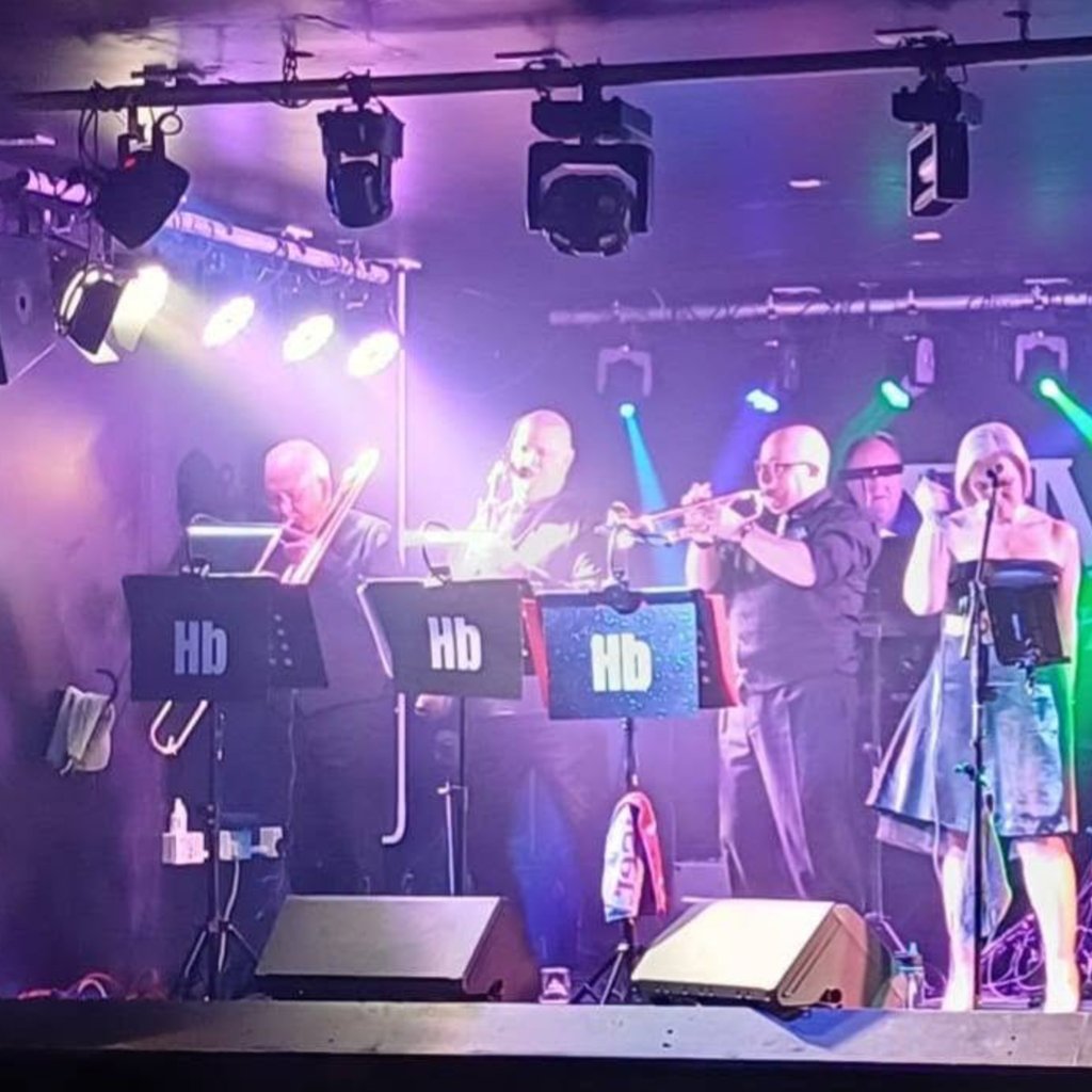 The Hornbeats 9 piece Band, covering Soul, Rock, Funk & Ska live Image