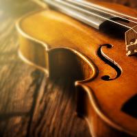 Music in the Museum: Accordion and Violin!