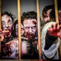 Zombie S.W.A.T Training