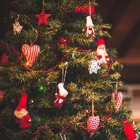 Fabulous Festive Party Nights