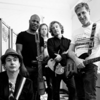 The Woodentops at Firebug