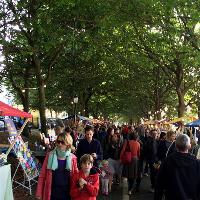The Level Sunday Market