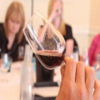 Wine Tasting Experience Day