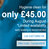 Dental Hygiene Offrer in Camden Town