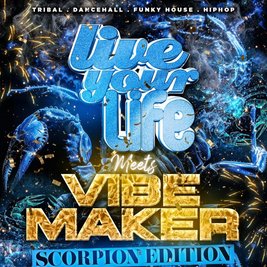 Vibemaker