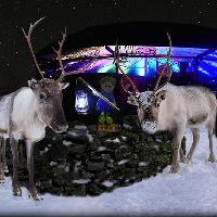 The Paraffin Pixies search for Santa at Almond Valley Heritage Trust