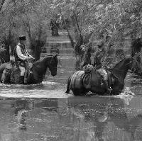 aferim! (18)