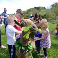 Brilliant Beltane