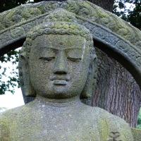 Introduction to Buddhism