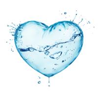 Healing The Heart